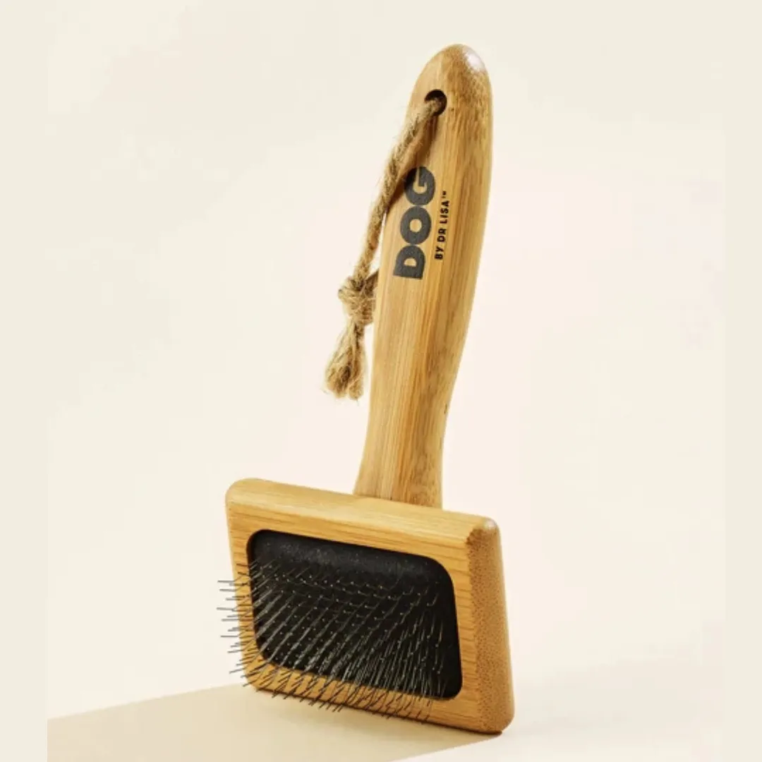 DOG by Dr Lisa - DOG Slicker Brushes