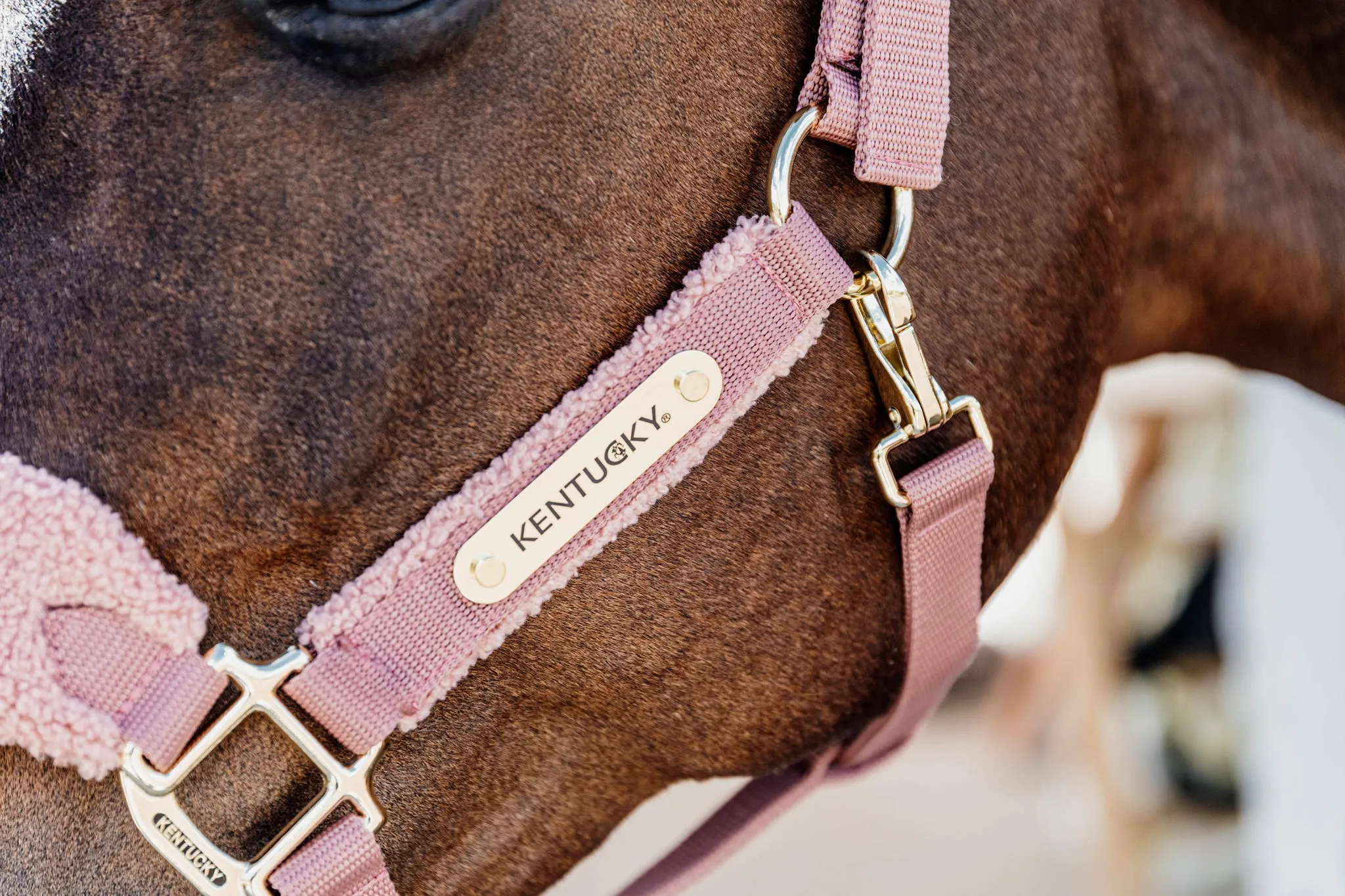 Teddy Fleece Halter